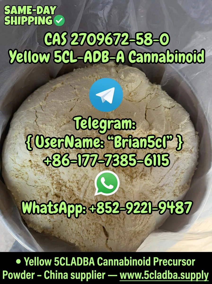 5CLADBA analytical reference standard in forensic laboratory — 5CL-ADB-A (CAS 2504100-70-1) from 5cladba.supply used for GC-MS and LC-MS/MS calibration, HPLC method validation, CB1/CB2 receptor binding research, forensic toxicology casework, metabolite identification, and seized drug profiling at ≥99.9% dual-verified purity, trusted by university labs and national forensic departments across 52+ countries in 2026.