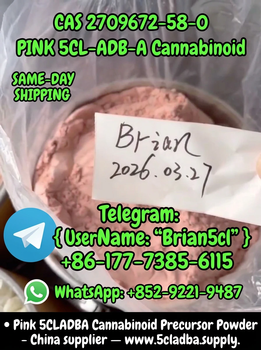 5CLADBA wholesale bulk quantities for sale in 2026 from 5cladba.supply — 1g, 5g, 10g, 25g, 50g, 100g, 250g, 500g, and 1kg tiers at ≥99.9% dual-verified purity with up to 52% bulk discount, priority same-day dispatch, dedicated account manager, Net-30 institutional terms, free COA + full analytical documentation on every batch from the #1 verified 5CLADBA supplier of 2026.